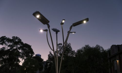 Solar Tree Melbourne